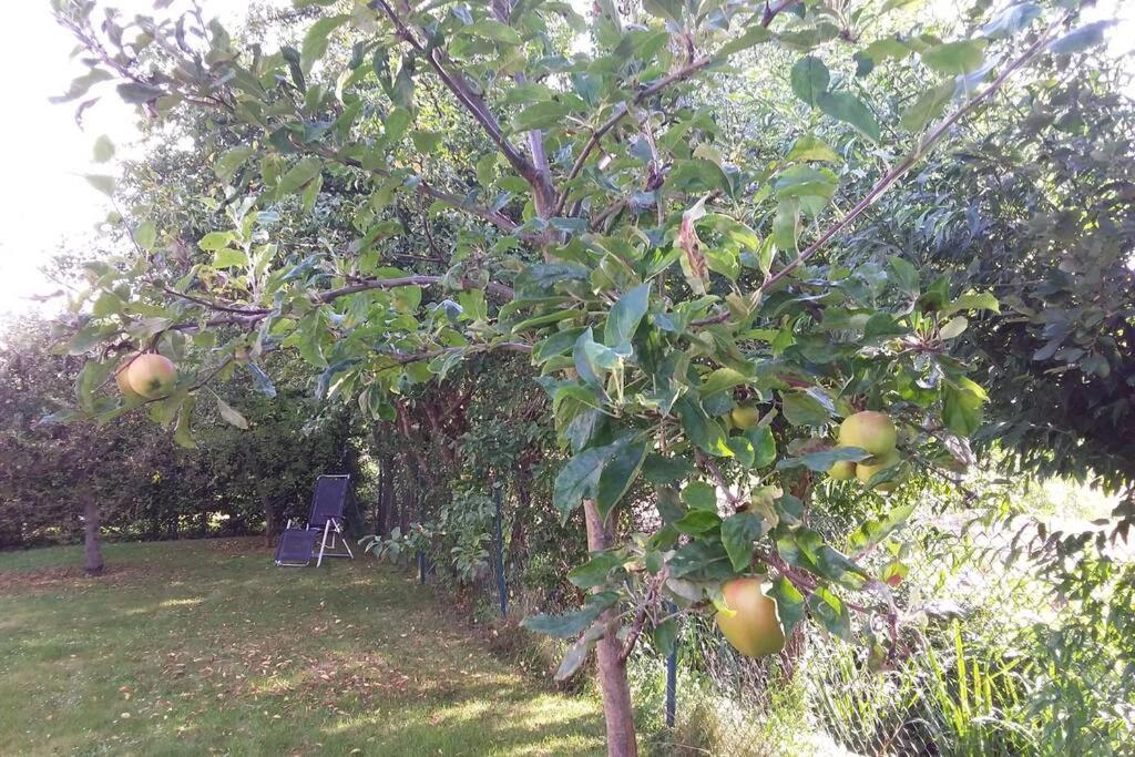Huis Bij De Catalpa ดอร์เดรคท์ ภายนอก รูปภาพ