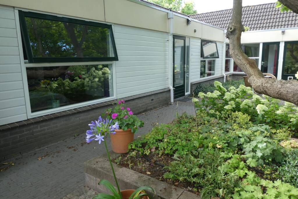 Huis Bij De Catalpa ดอร์เดรคท์ ภายนอก รูปภาพ